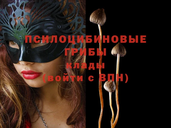 mdma Инсар