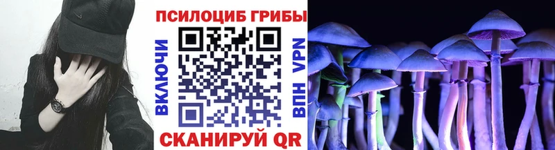 Купить где  Зима  Псилоцибиновые грибы Magic Shrooms 